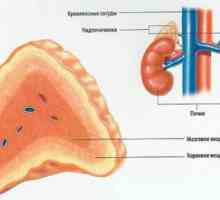 Hiperplazie suprarenala congenitala