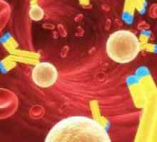 Sânge gama-globulinele