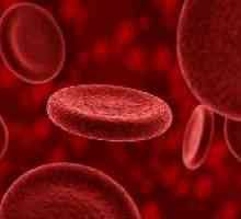 Nivelurile crescute de celule roșii din sânge: principalele motive