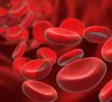 Ce este hemoliza de sânge și de ce apare?