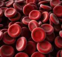 Cum de a crește trombocitele din sânge?