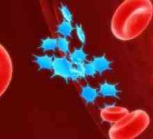 Metodele de creștere a nivelului de trombocite din sânge