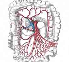 Nave intestinale Mezotromboz: cauze, forme, diagnostic și terapie