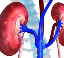 Un rinichi anormal de mici, sau cum să trăiască cu hipoplazia renală