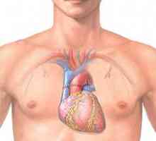 Transplant de inimă: natura și realitatea operațiunii, citirea, deținerea, prognoza