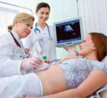 Creșterea testosteron în timpul sarcinii