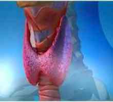 Cauzele și consecințele creșterii volumului glandei tiroide