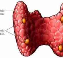 Biopsie ac fin a glandei tiroide