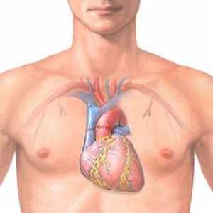 Transplant de inimă: natura și realitatea operațiunii, citirea, deținerea, prognoza
