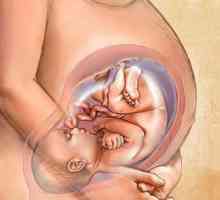35 De săptămâni de sarcină - cum să se comporte mama viitoare în această perioadă?