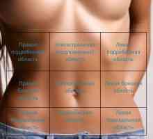Algoritmul de palparea abdominale
