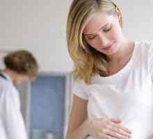Prima ecografie de screening in timpul sarcinii: metoda și rata indicatorilor