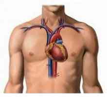 Ateroscleroza aortică și a vaselor cardiace (coronariene): origine, pentru a trata