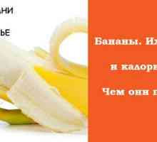 Banane. Avantaje și prejudicii de fructe exotice o dată