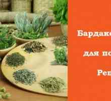 Bardakosh - plante slăbire