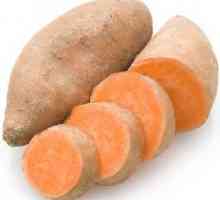 Cartofi dulci: proprietăți utile, contraindicații, rețete