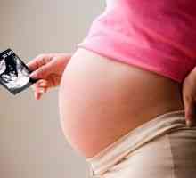 Ultrasunete a inimii în timpul sarcinii: Caracteristici și indicații pentru examinare