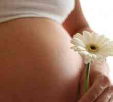 Siguranța tratamentului de drojdie în timpul sarcinii: recomandarea medicului