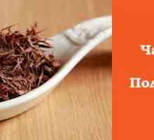 Ceai Lapacho. Proprietăți utile și contraindicații ceai Inca
