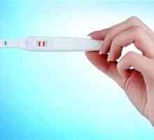 Testul de sarcină și lunar