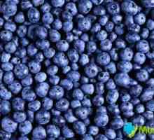Blueberry Garden - un remediu pentru multe boli