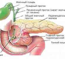 Ce să facă în caz de insuficiență a pancreasului?