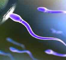 Ce se poate face la un volum redus de sperma