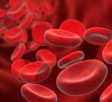 Ce inseamna „celulele rosii din sange intr-un test de sange?“