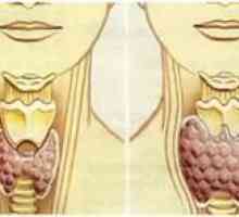 Că este non-uniformă structura tiroidei