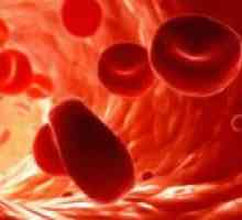 Ce face sângele VEM figura și care este regula ei?