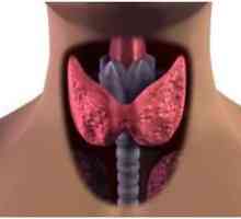 Ce este hipotiroidism și modul în care această condiție este tratată