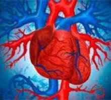 Semne de insuficiență cardiacă la copii și adulți