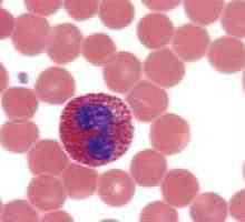 Ce este eozinofile în sânge