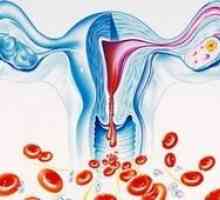 Ce este menstruație grea?