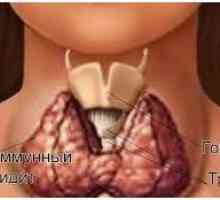 Care este hormonul stimulator tiroidian (TSH)