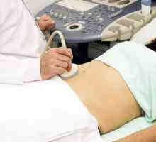 Ceea ce este inclus în procedura de ultrasunete a abdomenului?
