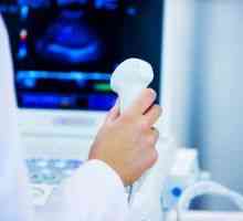 Intestinului ultrasonografie - Transcrierea: norma si boala este posibil