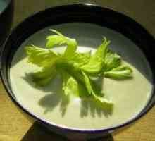 Dieta Supa de telina: Principalele retete de vase