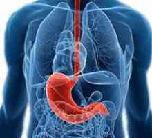Produse alimentare dietetice în bolile gastro intestinale: rețete
