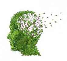 Atrofia creierului: cauzele si factorii de dezvoltare, simptome, tratament, prognostic