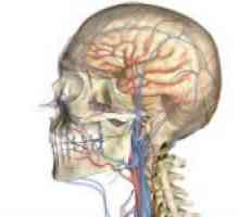 Scanare duplex vasele de sange brachiocefalic
