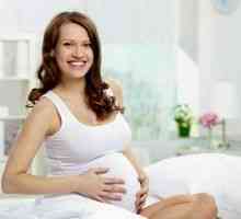 Dezvoltarea și greutatea fetală la 23 de săptămâni de gestație