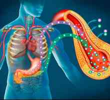 Funcția pancreatică afectează întregul corp
