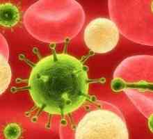 6 Tip de herpes la adulți