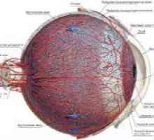 Ochi hiperemie conjunctivală