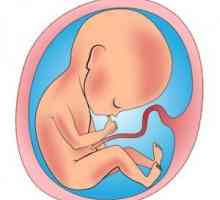 Hipoxia: prenatale, nasterea si cronice - cauze, simptome, consecințe, tratament