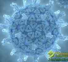 Principalele simptome de rotavirus, tratament național și dietă după o boală