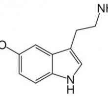 Hormonul serotonină