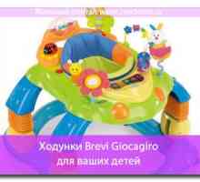 Premergătoare giocagiro Brevi pentru copiii tăi