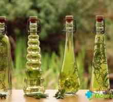 Inhalarea de ulei de eucalipt: indicații, contraindicații, metode de execuție